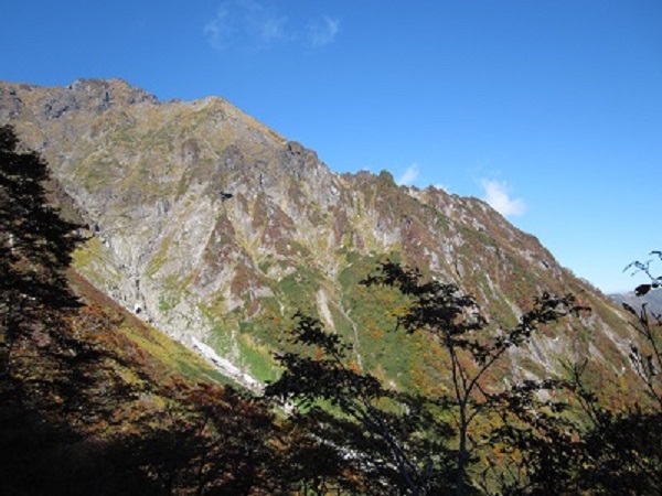 ���������ԤäƤߤ���